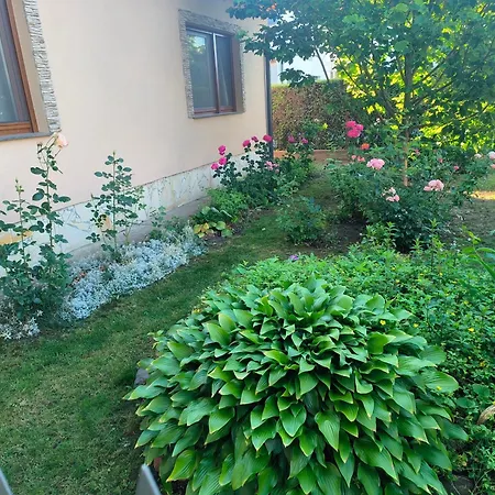 Erzsebet Vendeghaz Apartament *
